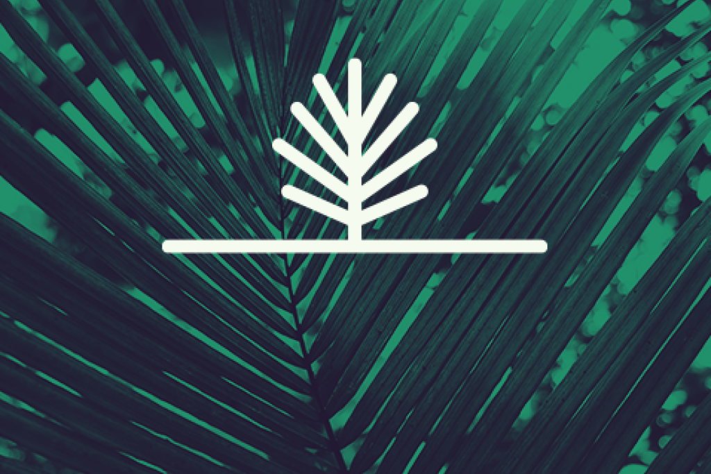 Palmzondag: red mij!