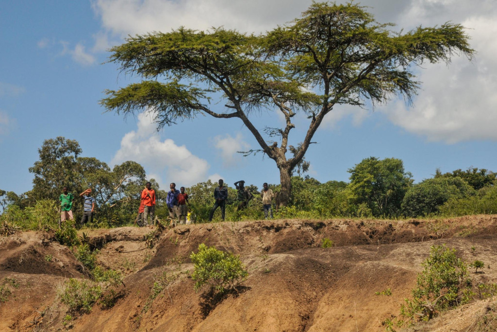 De Great Green Wall in de Sahel is goed op weg om het omvangrijkste wereldwonder te worden. De Great Green Wall in de Sahel is goed op weg om het omvangrijkste wereldwonder te worden.