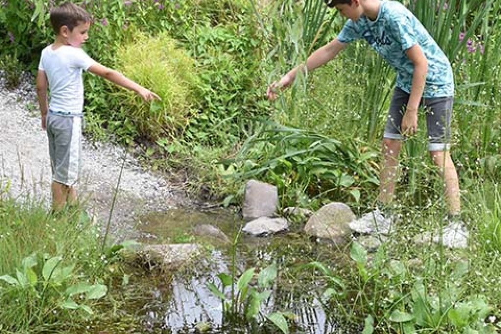 14 foto's en tips om van je tuin een sponstuin te maken 14 foto's en tips om van je tuin een sponstuin te maken