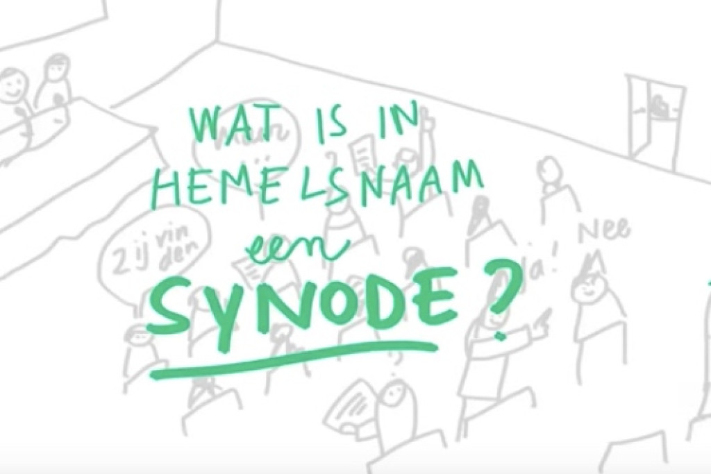© Pieterjan Volckaert