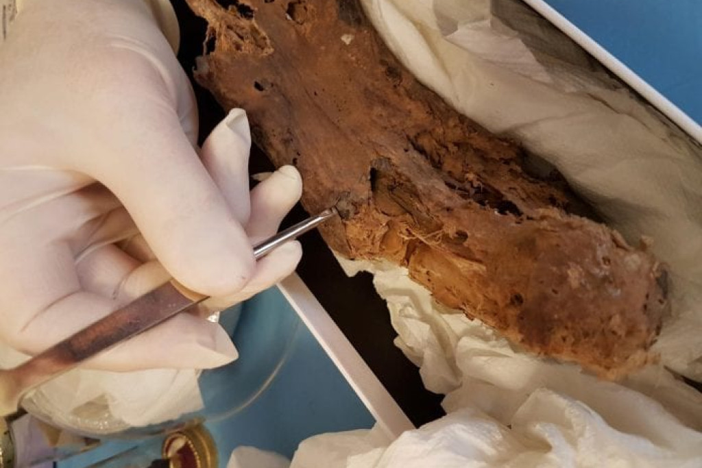 De gemummificeerde voet zou van de Heilige Filippus zijn