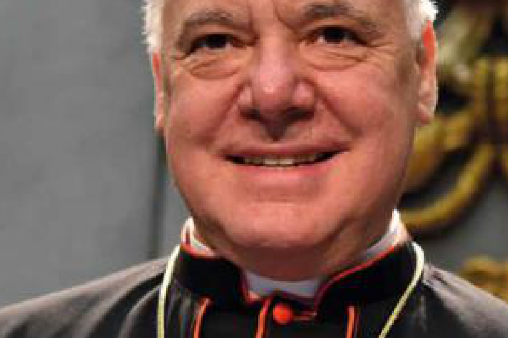 Kardinaal Gerhard Müller.