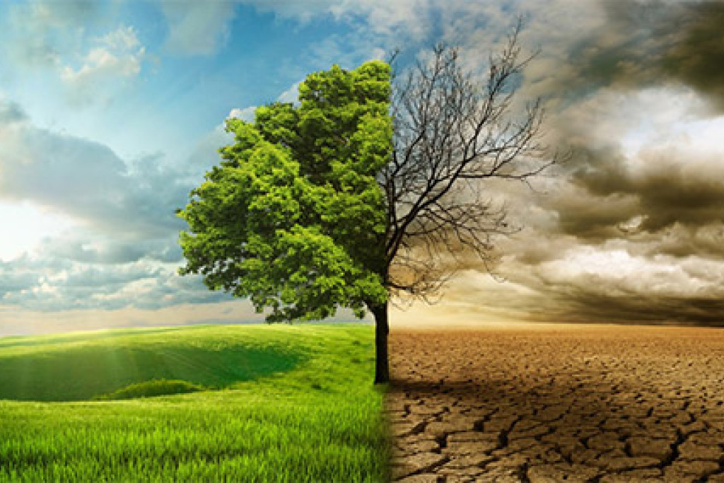 Laudato Si'-jubileum, voor de planeet en al wat erop leeft.
