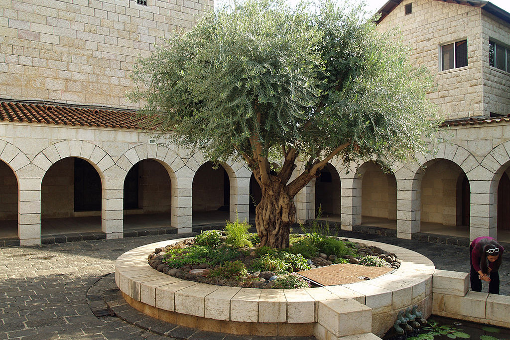 De kloostertuin in Tabgha