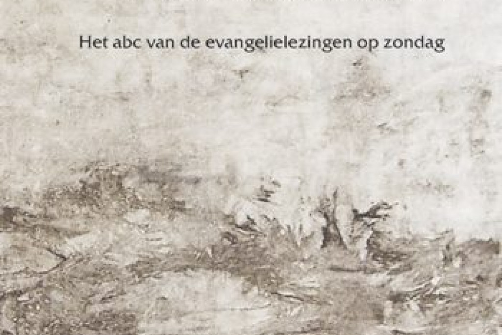 De cover van 'Ten Gronde' van Luc Devisscher