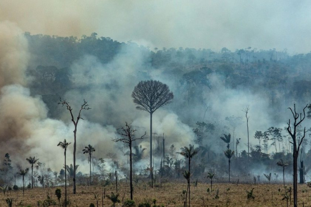 Honderden brandhaarden teisteren het Amazonewoud