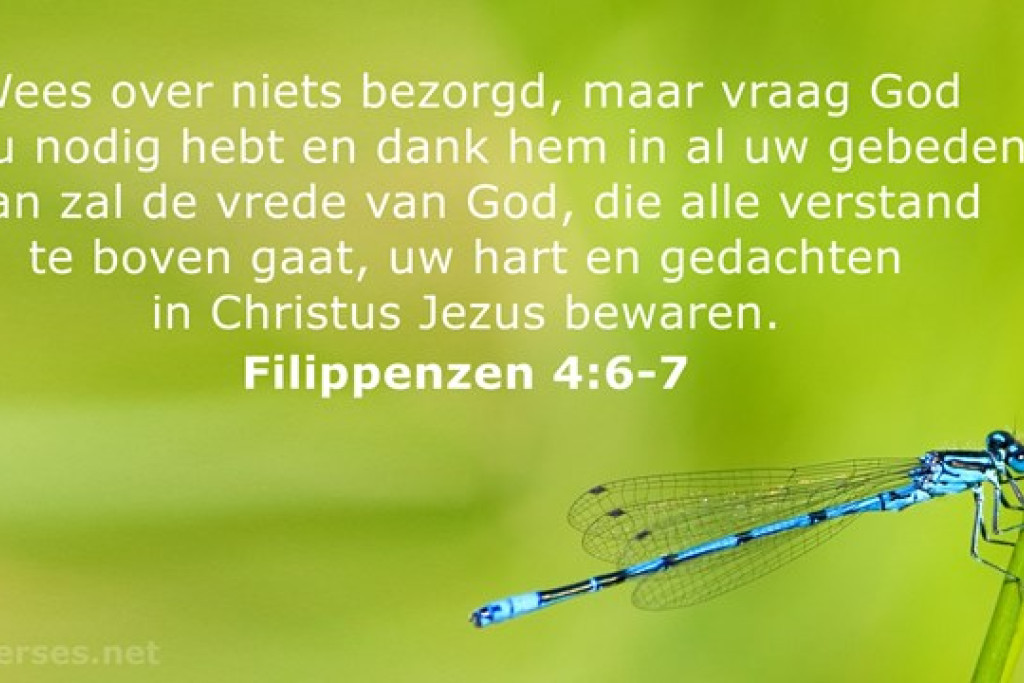 Het populairste Bijbelvers van 2019