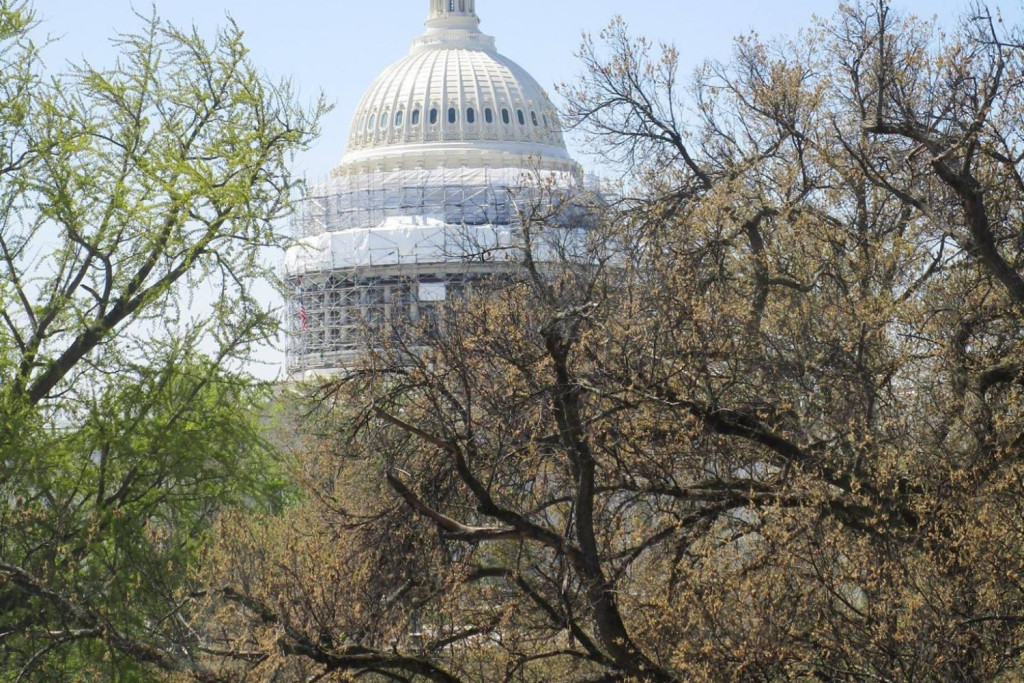 Het Capitool in Washington