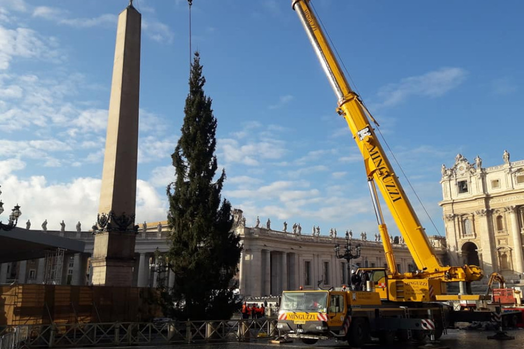 De plaatsing van de kerstboom op het Sint-Pietersplein in Rome