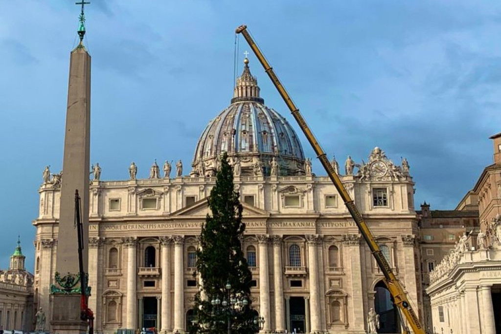 De kerstboom op het Sint-Pietersplein in Rome