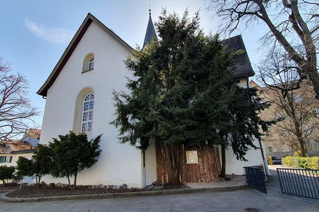 De nieuwe stadskluis – het houten hutje rechts van de kerk – staat vlakbij de plek waar de oorspronkelijke kluis van Wiborada in de 10de eeuw moet hebben gestaan